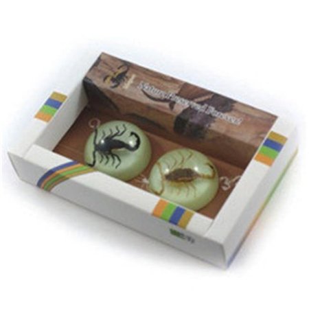 ED SPELDY EAST Ed Speldy East MT3802 2PC Magnet set with Real Scorpion in Acrylic MT3802